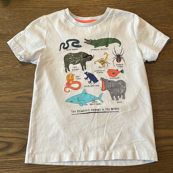 Boden & JCrew Boy’s Bundle - sizes 5-6 EUC - Picture 4 of 7